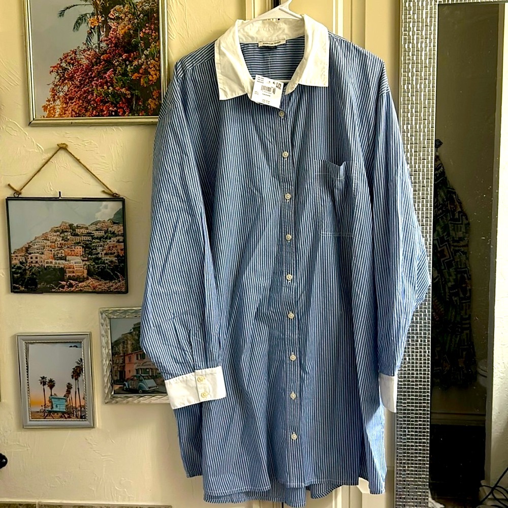 American Eagle Outfitters Blue and White Pinstripe Button-Up Dress Shirt